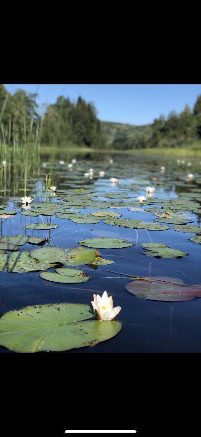 Glamping On Idyllic Lake, Paddle Boards & Rowboat Porsgrunn Ngoại thất bức ảnh