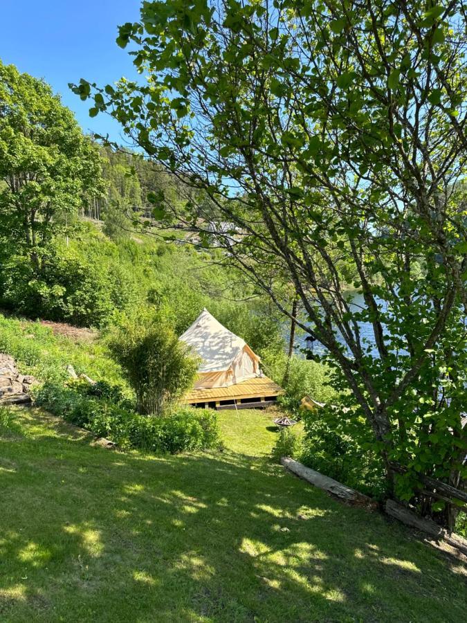 Glamping On Idyllic Lake, Paddle Boards & Rowboat Porsgrunn Ngoại thất bức ảnh